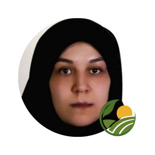 مریم واحدی